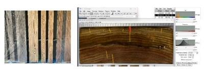 木造建築の退色・ひび割れに効果的な手法を、 工学院大学が12月9日から東京ビッグサイトで紹介