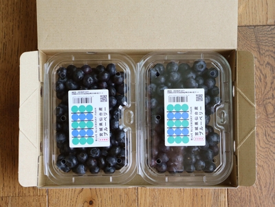 240g2個パック