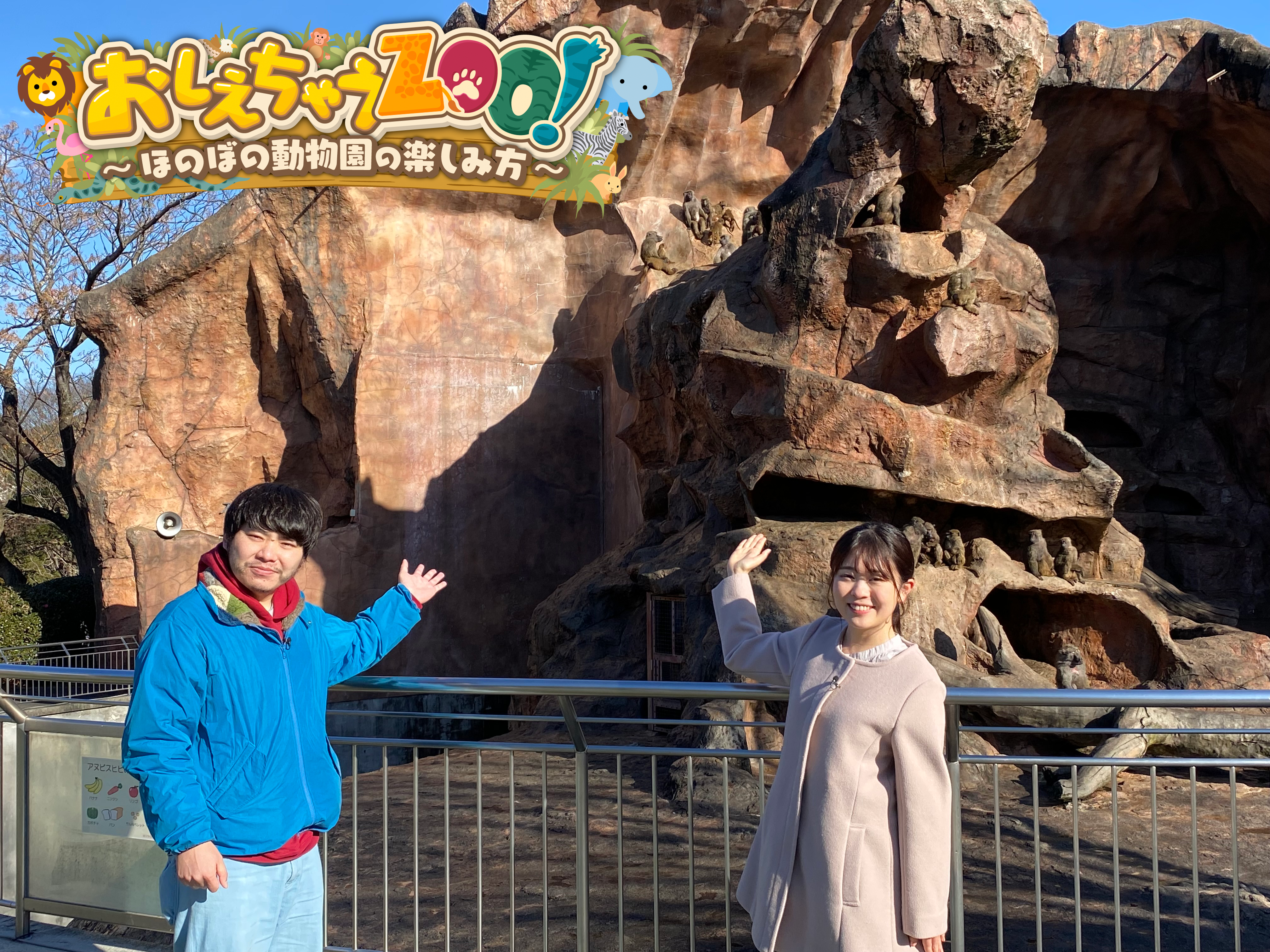 【広島ホームテレビ】「教えちゃうZOO！～ほのぼの動物園の楽しみ方～」いよいよ今週放送！
