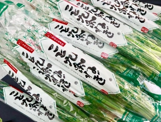 京都伝統野菜「こと九条ねぎ」 ブランドねぎが大集合「全国ねぎサミット2019 in まつど」へ参加