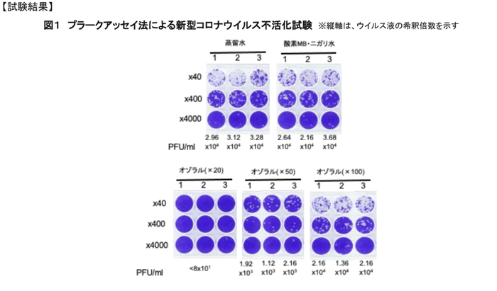 図1 プラークアッセイ法による新型コロナウイルス不活化試験
