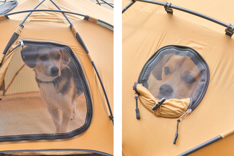 どこからも見えるから安心