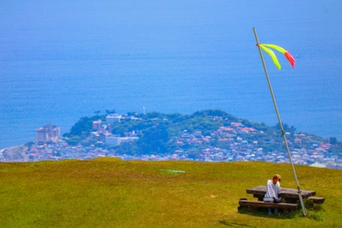 日帰りで行ける伊豆の絶景ハイキング「細野高原春の散策2026」【4/10(金)～5/6(水)】