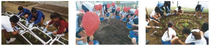 花の苗を植える様子 イメージ画像