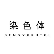 染色体