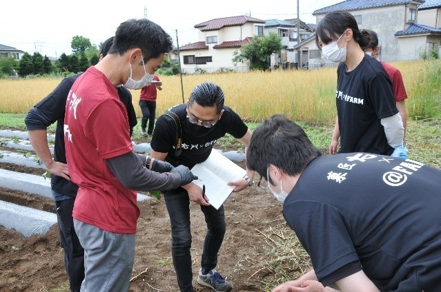 苗植え付け作業2