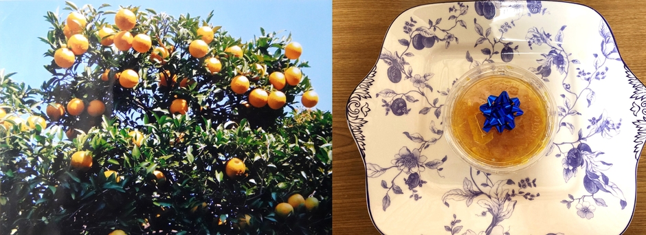 庭の夏みかんの樹(左)になった夏みかんでつくったマーマレード(右)