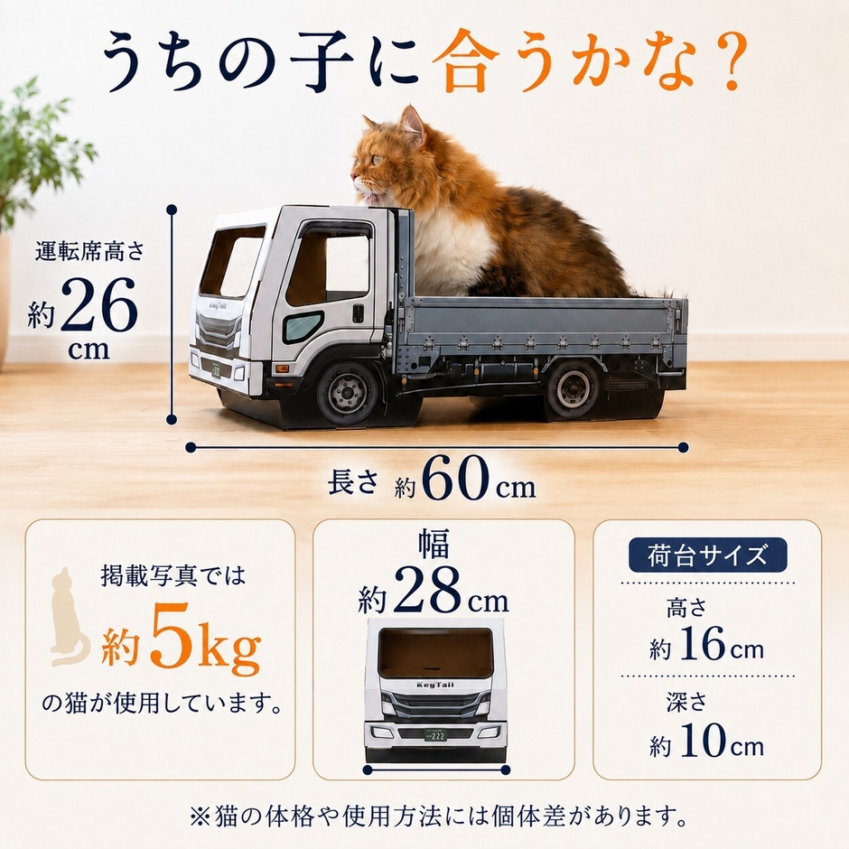 サイズは長さ約60cm×幅約28cm、運転席の高さ約26cm。荷台は高さ約16cm・深さ約10cm(写真は体重約5kgの猫)