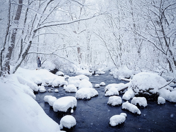 白銀の世界へ姿を変えた渓流と雪の綿帽子
