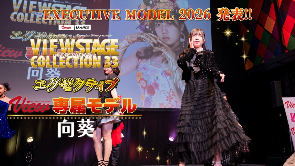 新エグゼクティブモデル　向葵