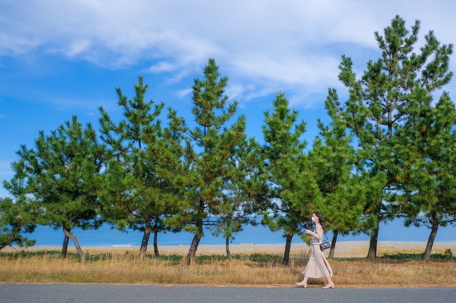 抜群の透明度を誇る香住の海