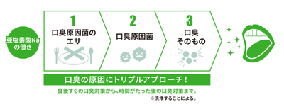 気になる口臭を長時間防ぐ