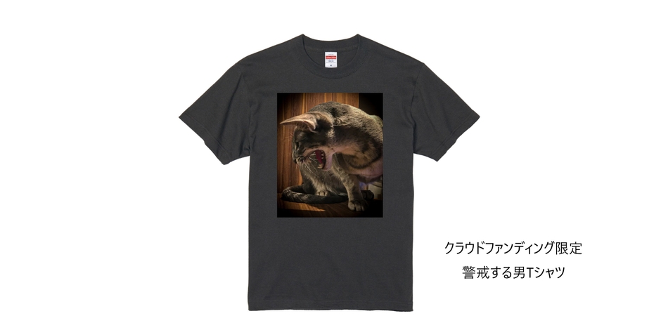 返礼品：Tシャツ