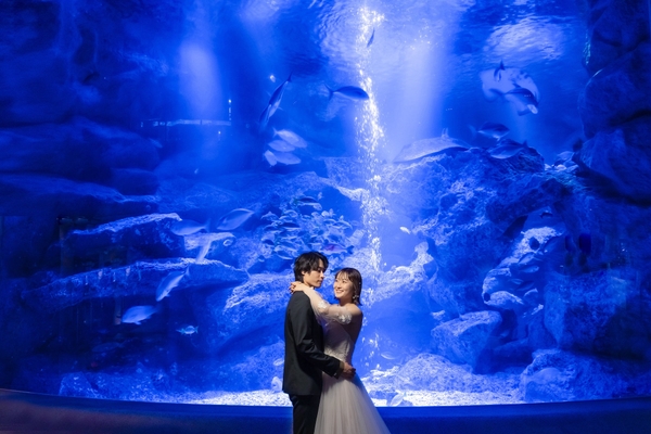 デコルテが全国に展開するウェディングフォトスタジオでは、フォトウェディング・撮る結婚式として年間2万組を超えるお客様にご利用いただいております。