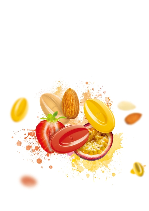 フルーツ・クーベルチュール「インスピレーション」