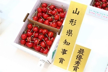 山形県さくらんぼ品評会受賞商品を限定販売！ 特別な逸品「佐藤錦」「紅秀峰」がＪＡタウンのショップ 「小さなＹＡＭＡＧＡＴＡマルシェ」に登場！