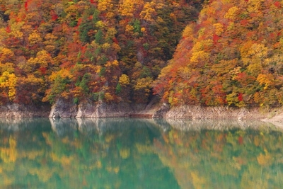 深山ダムの紅葉