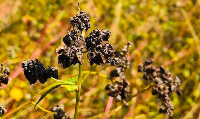 面白いがココ(夕張)にはある
