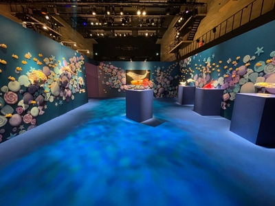 お菓子の水族館