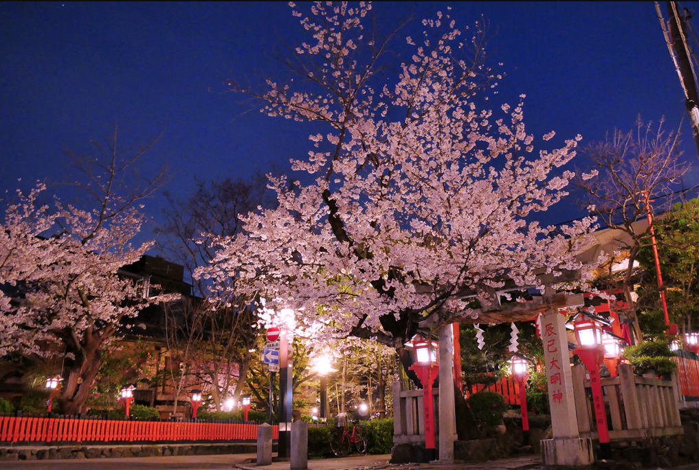 京都のラーメン処 祇園麵処むらじ 通常営業再開と最寄りの 祇園白川ライトアップ 開催のお知らせ Newscast