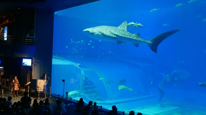 海と音楽のシンフォニー