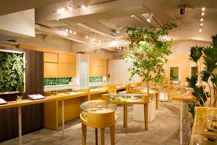 NENRIN GINZA 店舗画像3