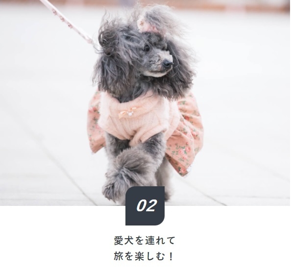 「Dog×Stay」プランの特徴2