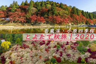 愛知県豊田市 2大紅葉スポット、香嵐渓・小原四季桜の 今年の楽しみ方を紹介！ (2020年の香嵐渓ライトアップ・小原四季桜まつり中止)