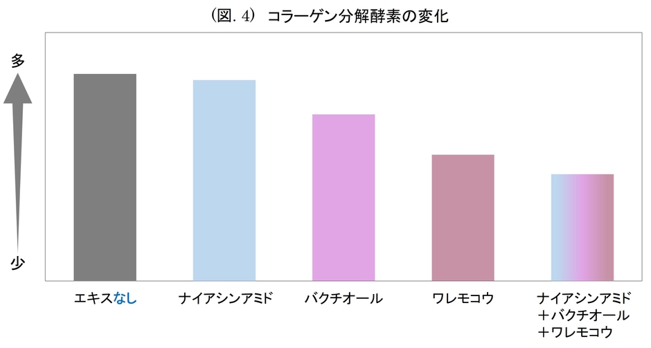(図. 4) コラーゲン分解酵素の変化