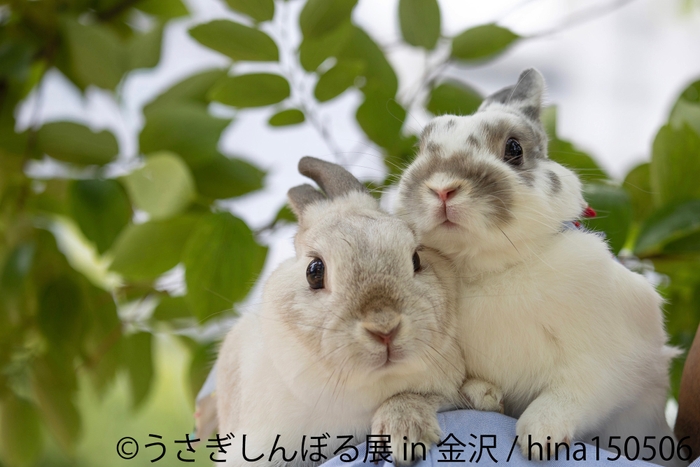 うさぎしんぼる展 展示作品3