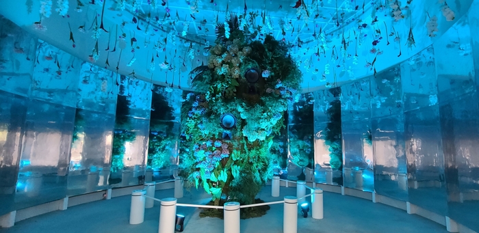 BOTANICA MUSEUM