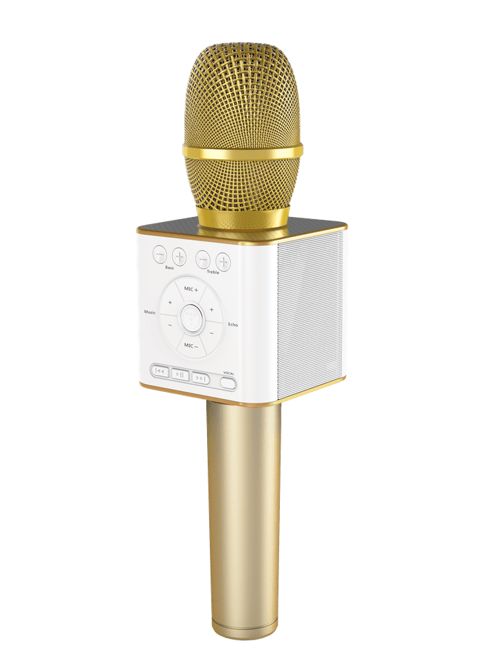 GP-BTDMIC/G(ゴールド)