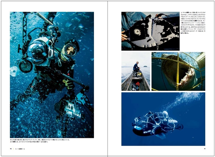 『真説・サメ 謎に満ちたすごい生態』中面