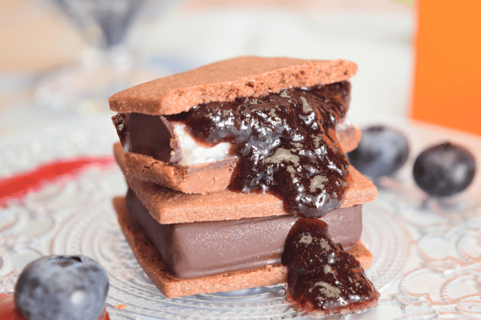 GAKUチョコレートサンド ~信州ブルーベリー~