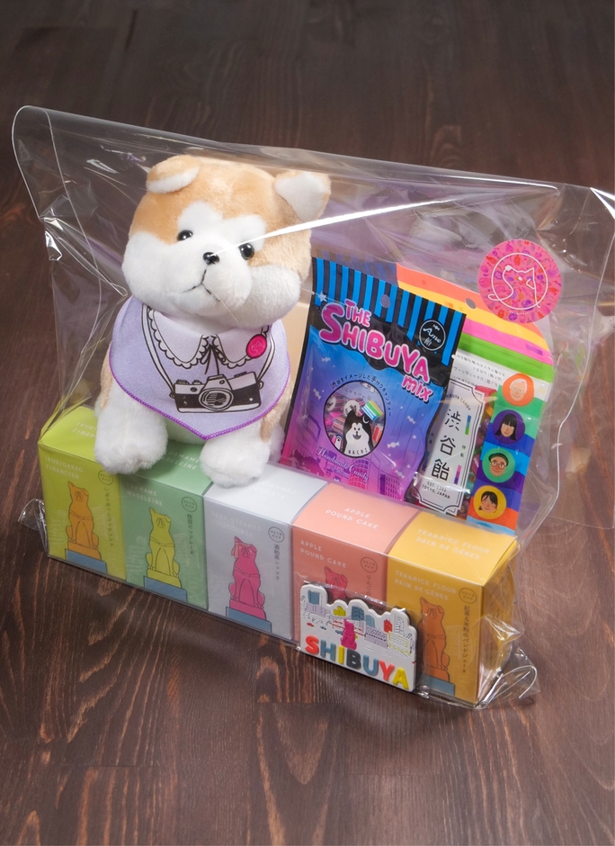 ハチスーベニアセット・見た目