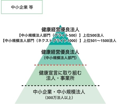 健康経営に係る顕彰制度について(全体像)