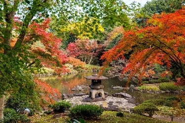 【旧古河庭園】彩鮮やかな秋の庭園
「紅葉とバラ、和と洋の秋」
11月7日（土）～12月６日（日）開催！