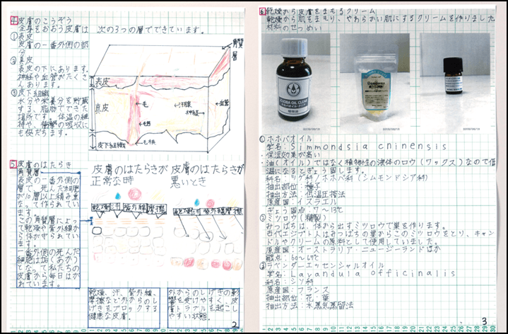 画像7_皮膚の研究