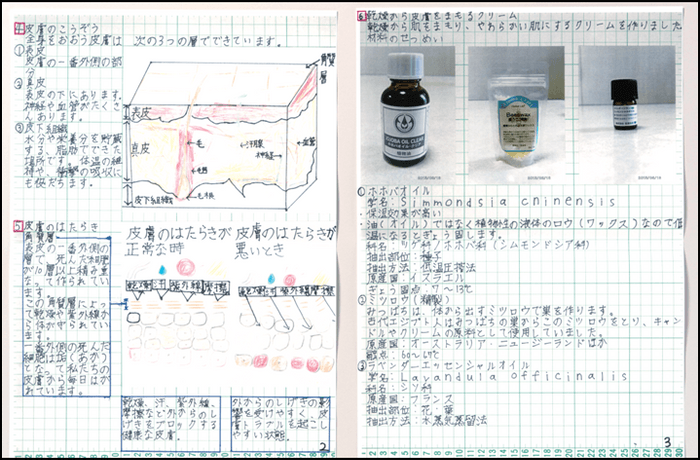 画像7_皮膚の研究