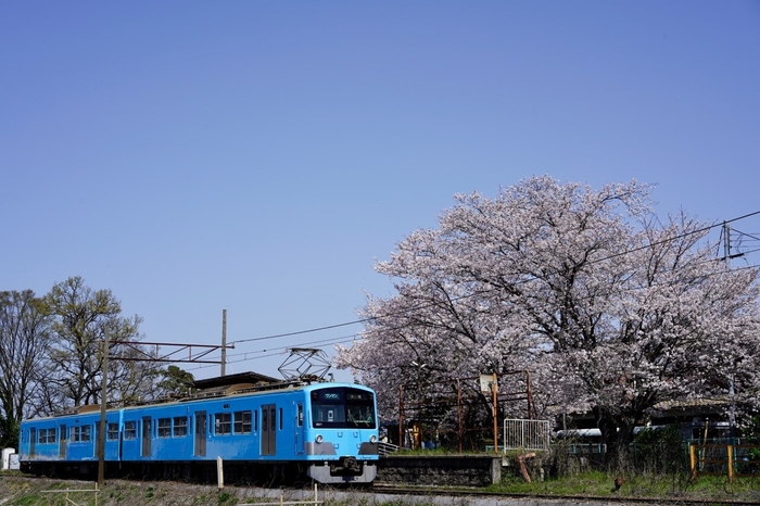 電車画像