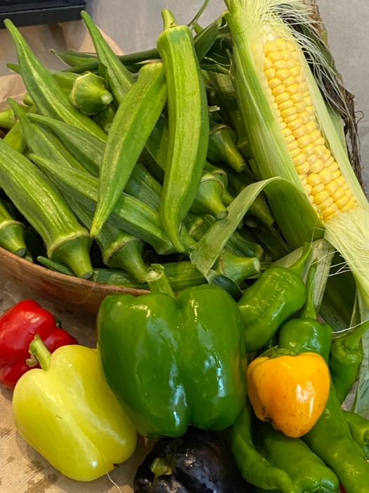 日光市今市の契約農家さんから仕入れた野菜