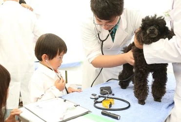 獣医師の仕事について知る！動物とふれあう！動物同伴OKイベント 「2026動物感謝デー in JAPAN “World Veterinary Day”」 2026年11月14日(土)開催