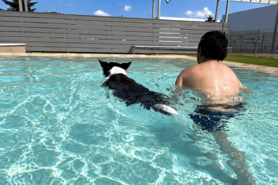 愛犬と泳ぐ飼い主
