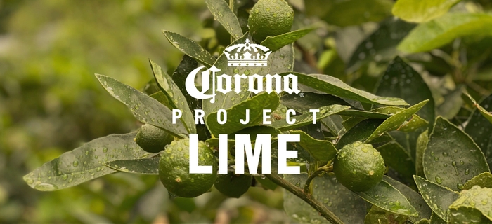 PROJECT LIME