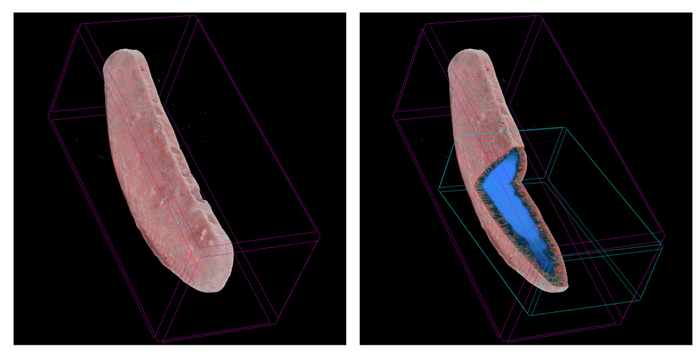 左：『CT画像(全体)』　右：『CT画像(カッティング処理)』 ※中空割合34.3％(実測)