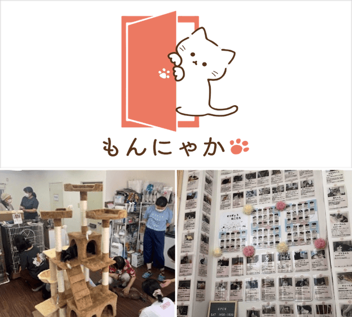 江東ねこの会もんにゃかイメージ