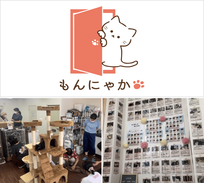 江東ねこの会もんにゃかイメージ