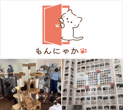 江東ねこの会もんにゃかイメージ