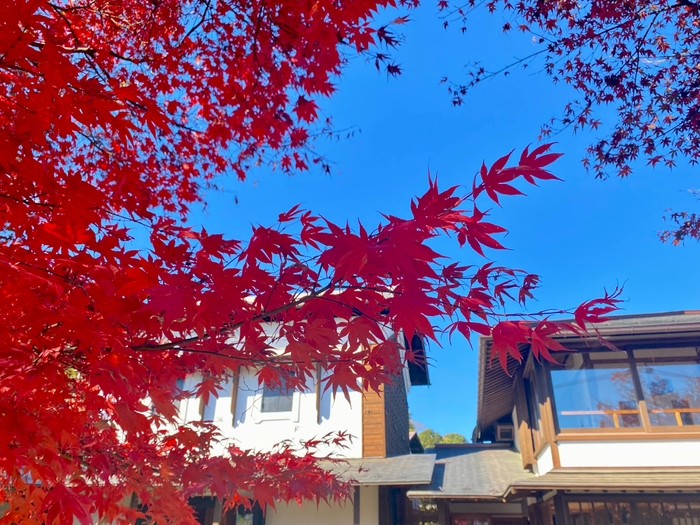 小野路宿里山交流館　紅葉祭り