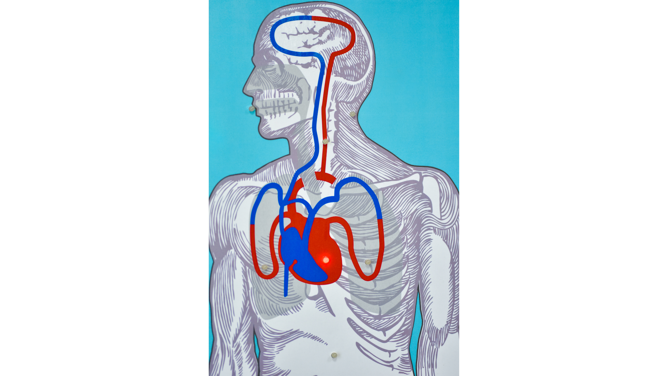 世界の医療シミュレーション市場は2026年までに巨額の収益を上げる｜CAGR 14.5%